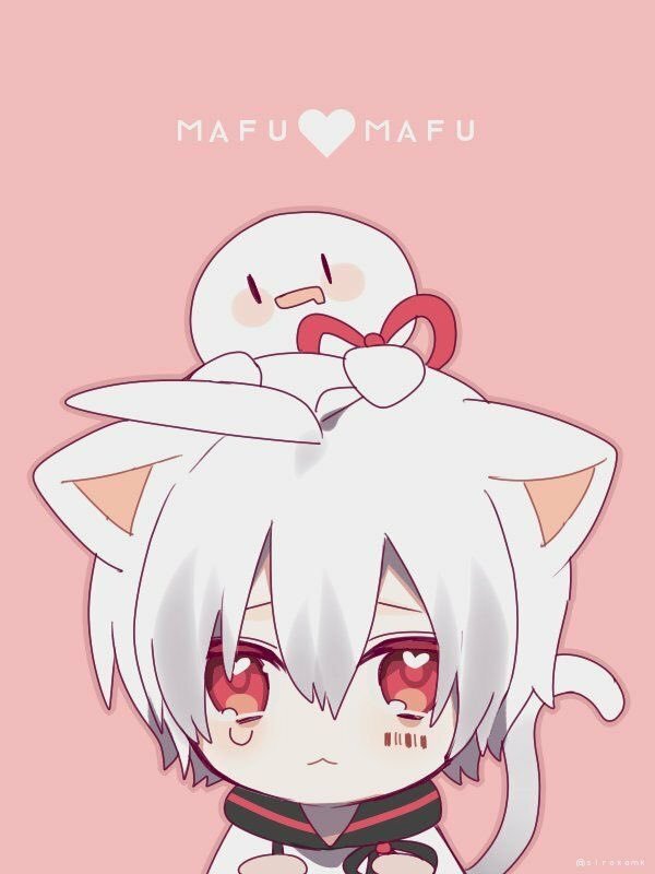 anh meo anime
