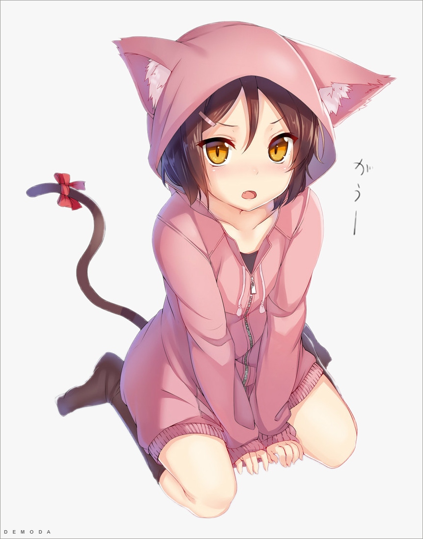 anh meo anime