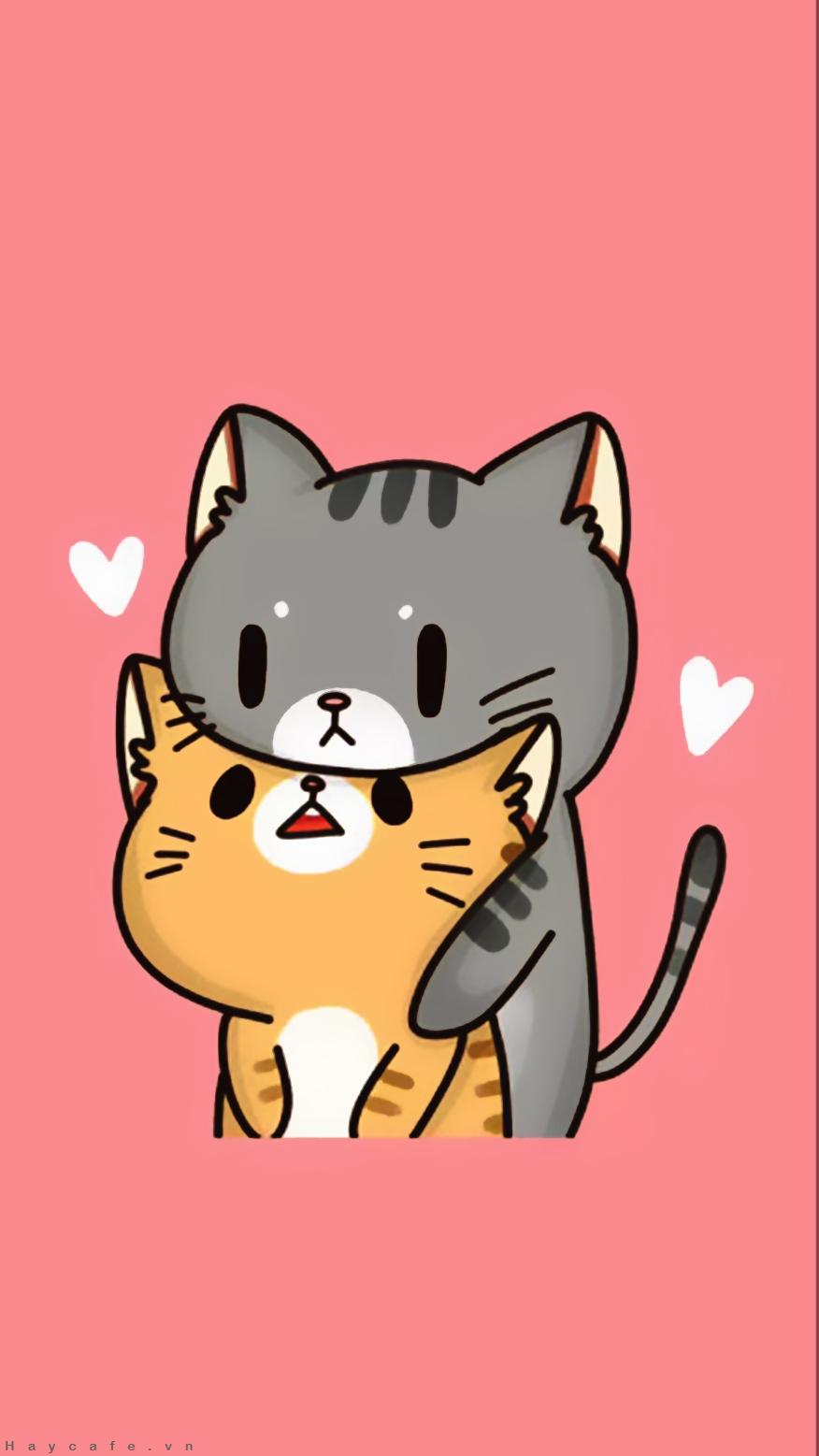 anh meo anime