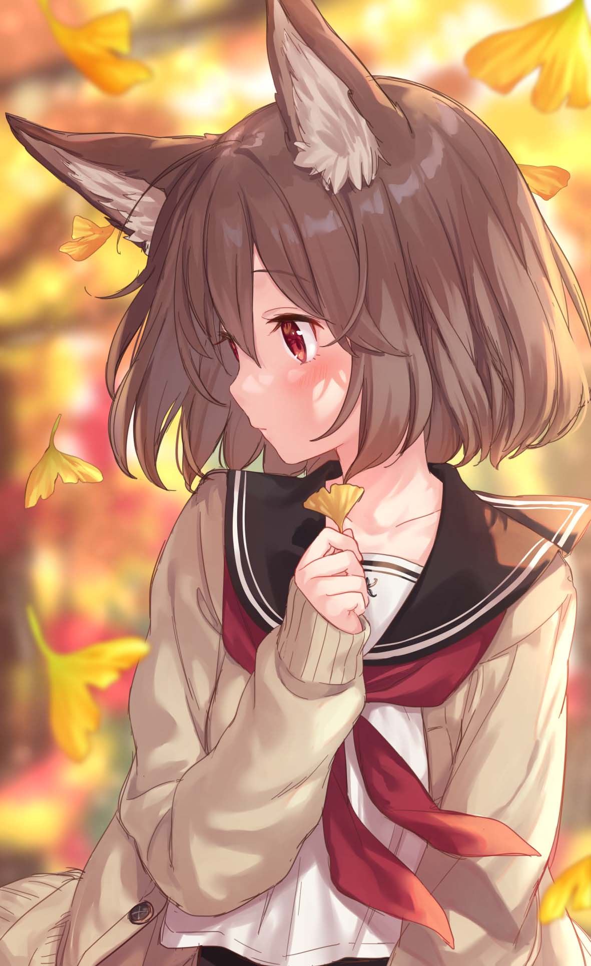 anh meo anime
