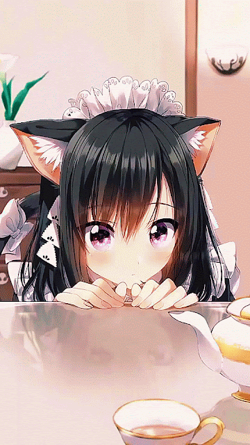 ảnh mèo anime 47