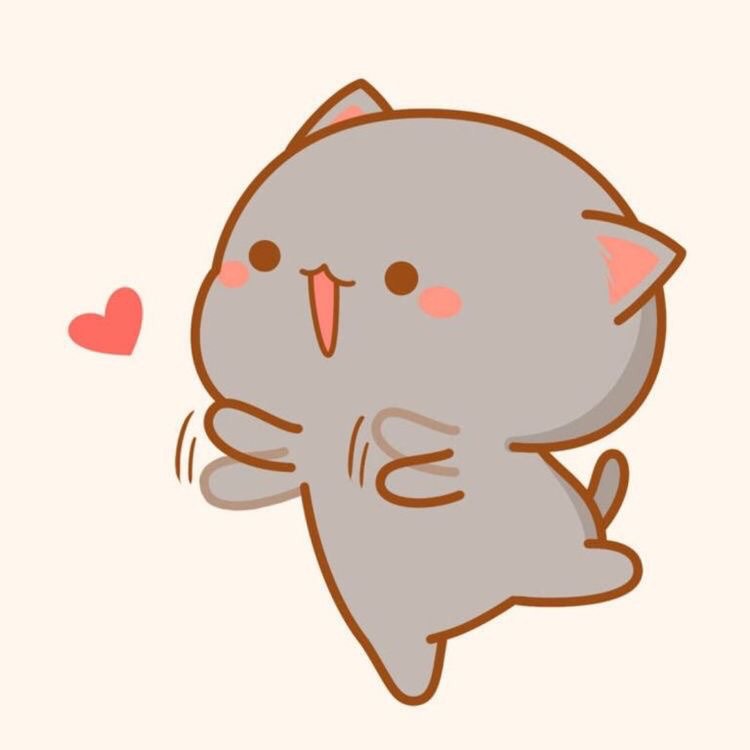 anh meo anime