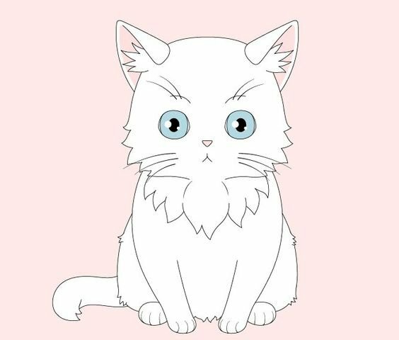 anh meo anime