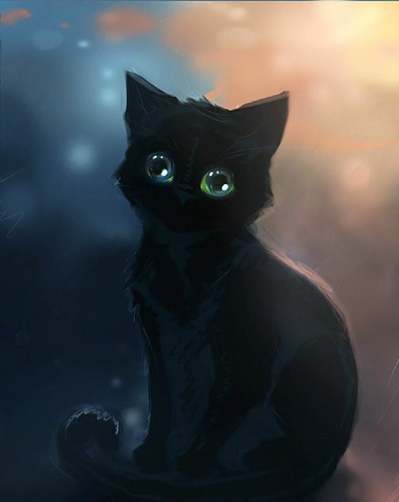 anh meo anime