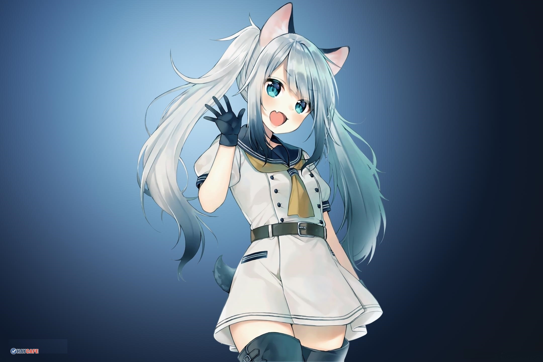 anh meo anime