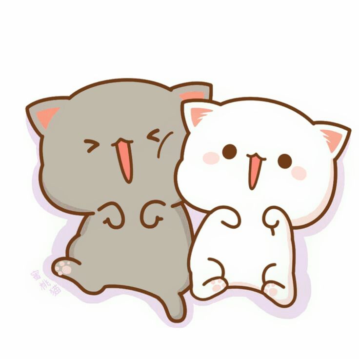 anh meo anime