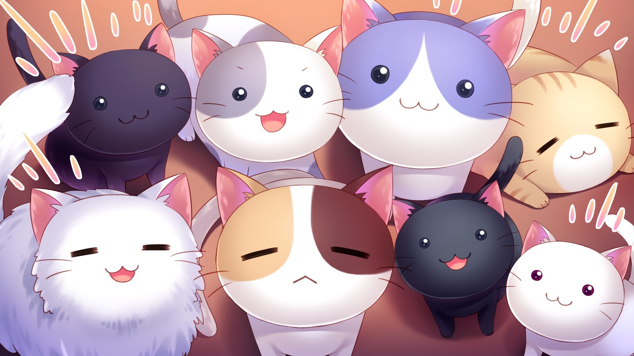 anh meo anime