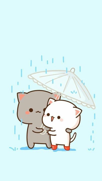 anh meo anime