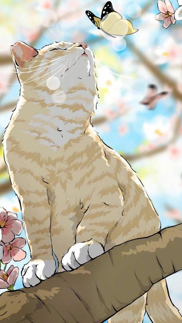 anh meo anime