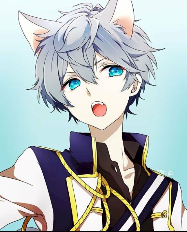 anh meo anime