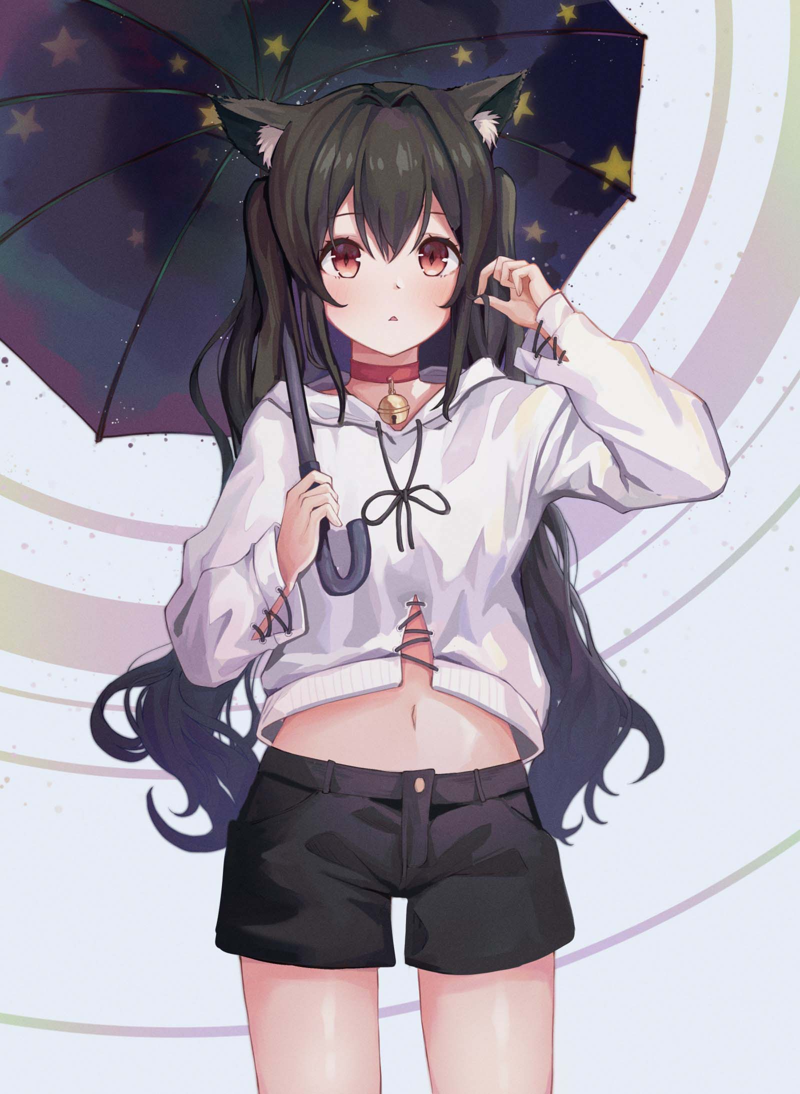 anh meo anime