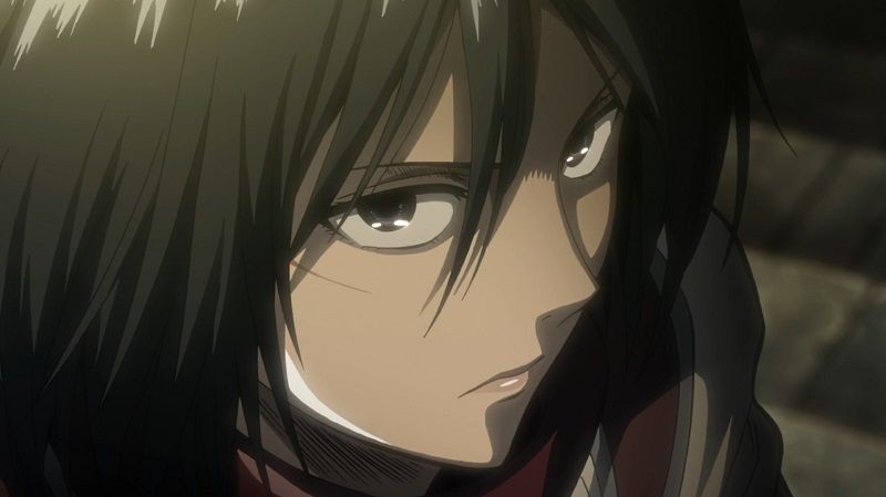 anh mikasa