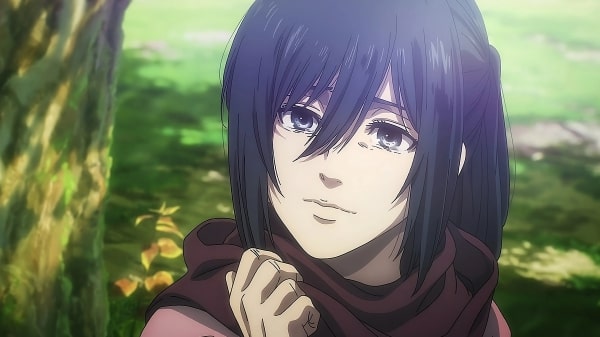 anh mikasa