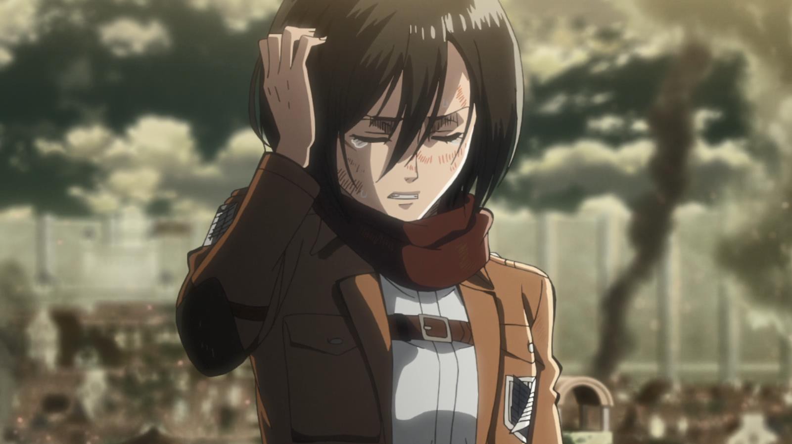 anh mikasa