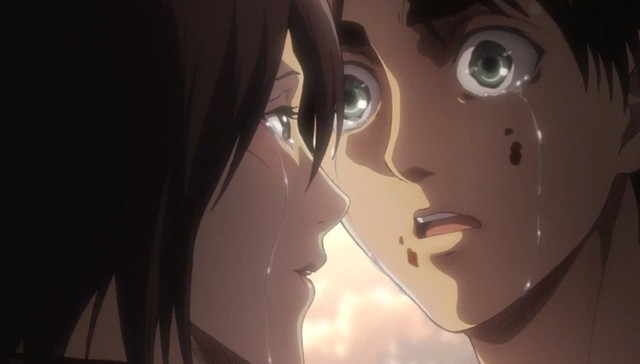 anh mikasa