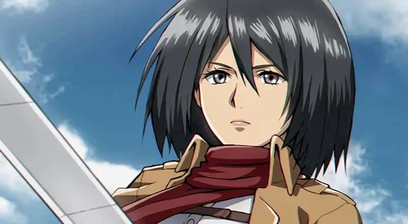 anh mikasa