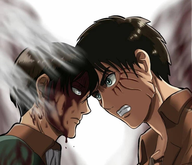 anh mikasa
