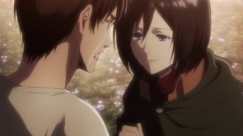 anh mikasa