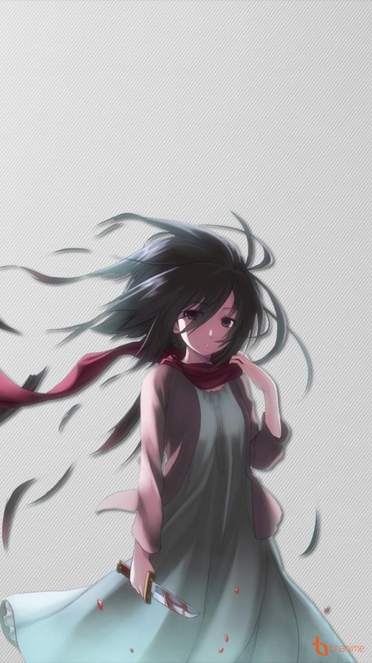 anh mikasa