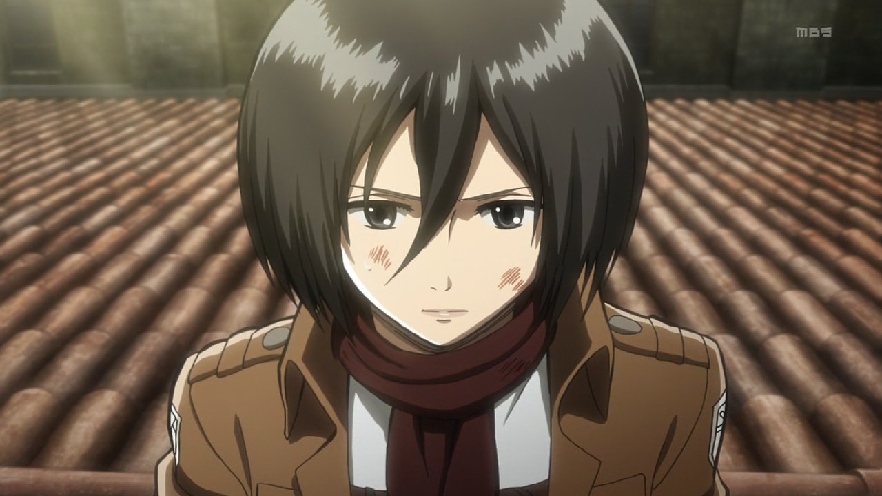 anh mikasa