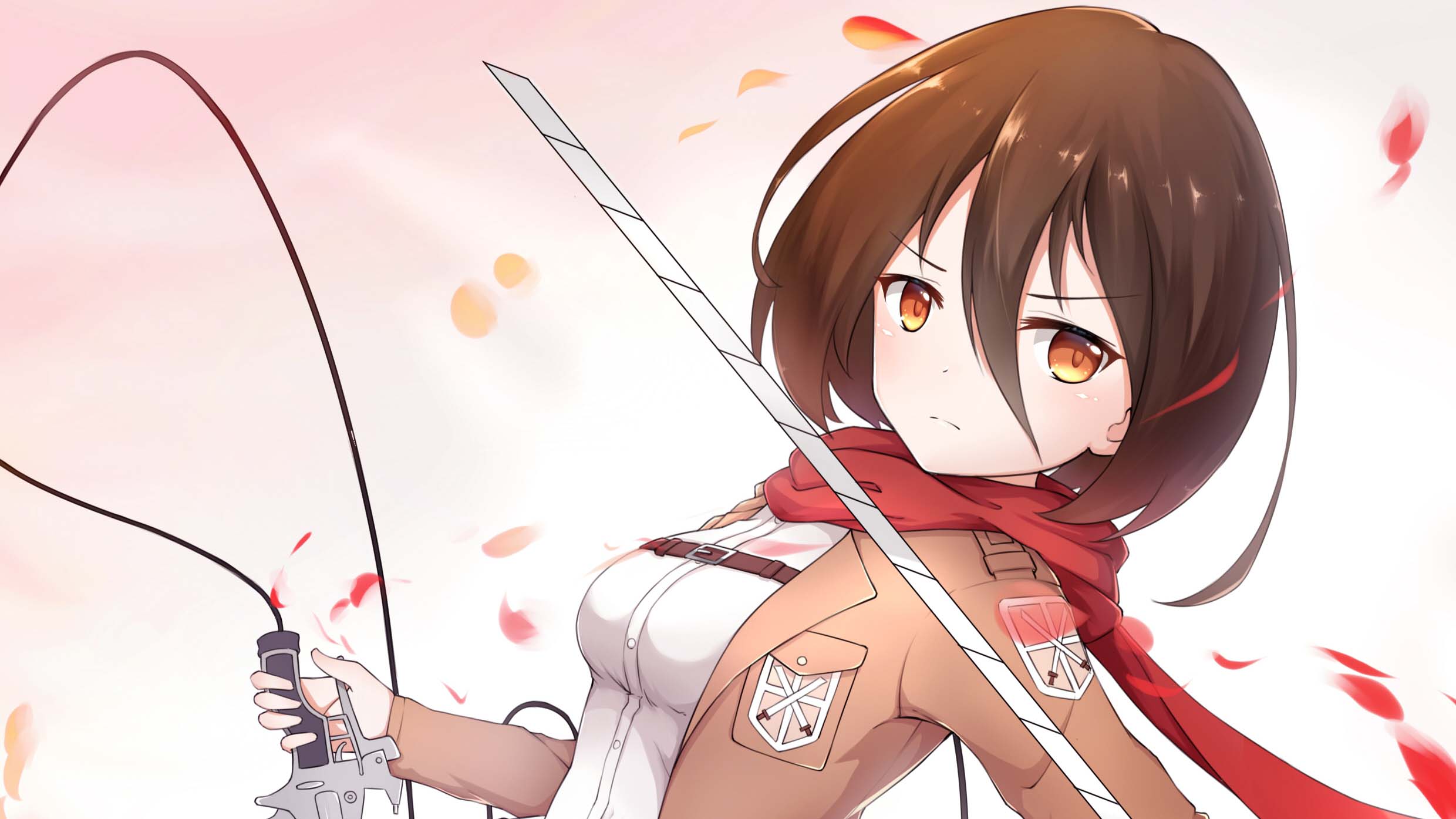 anh mikasa