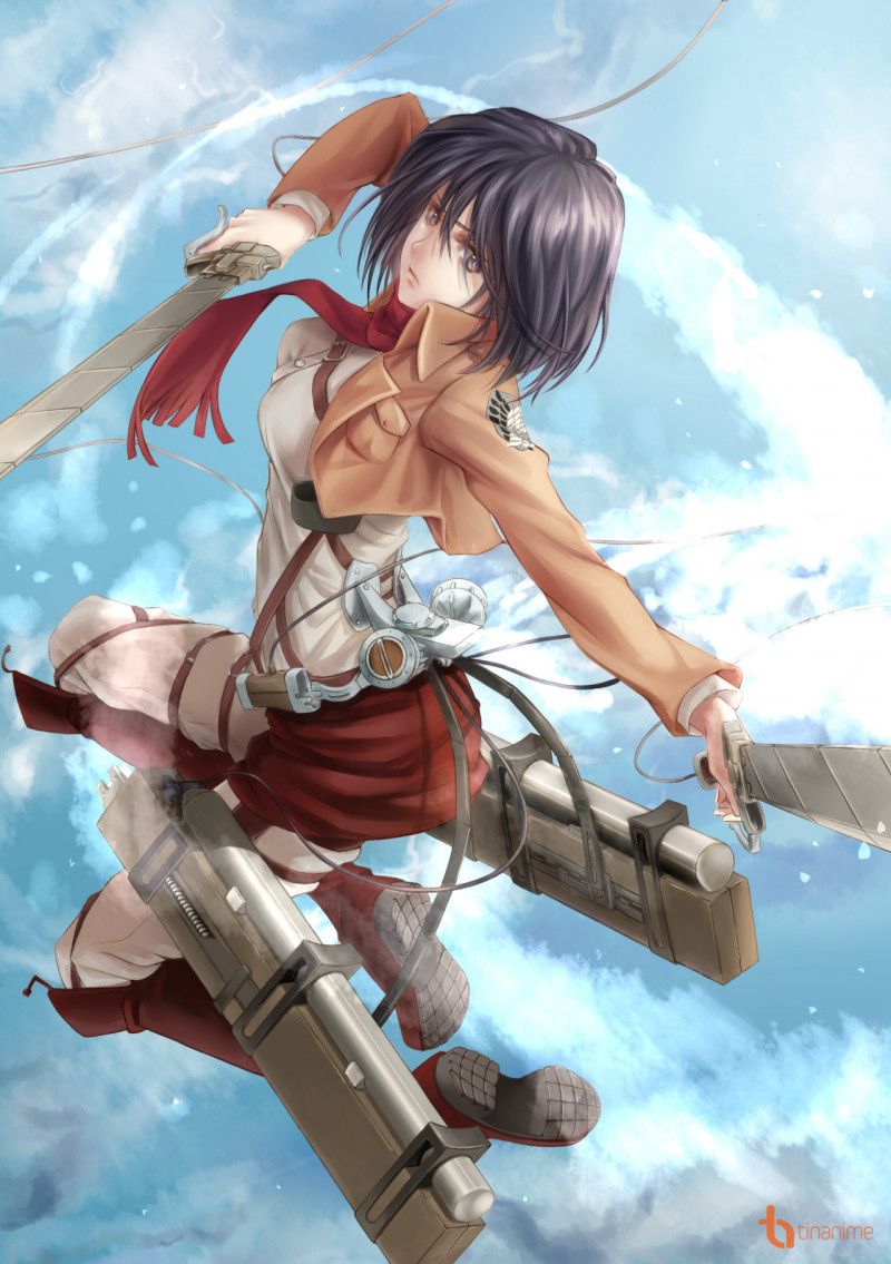 anh mikasa