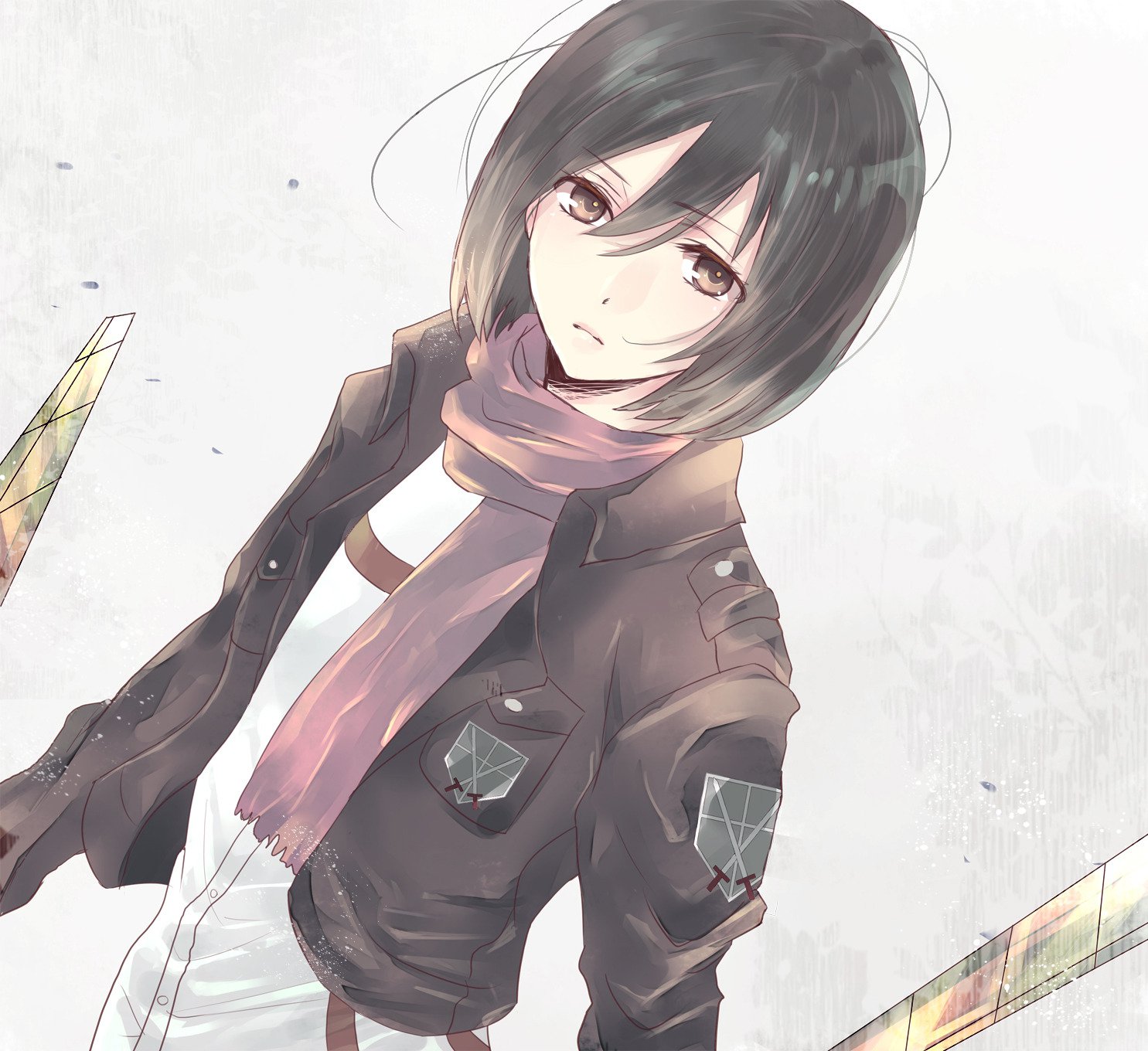 anh mikasa