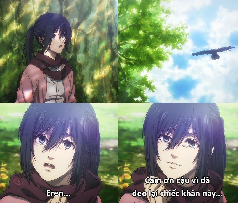 anh mikasa