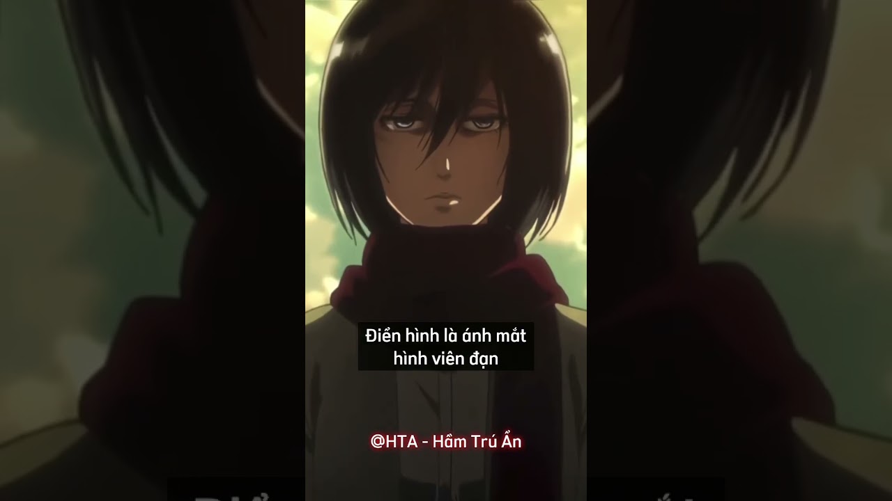 anh mikasa