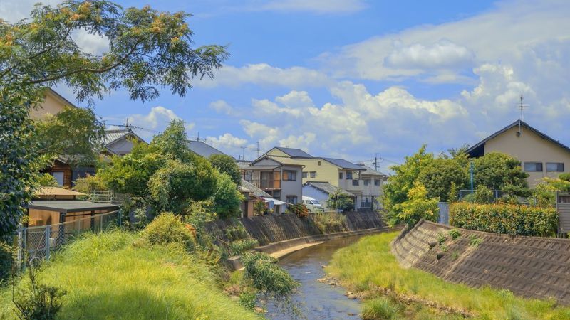 anh phong canh anime