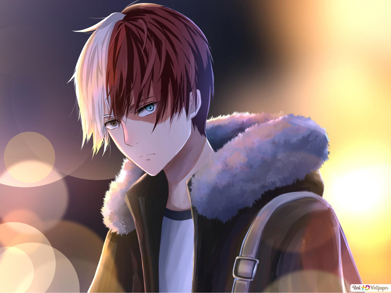 anh shinobu anh shinobu