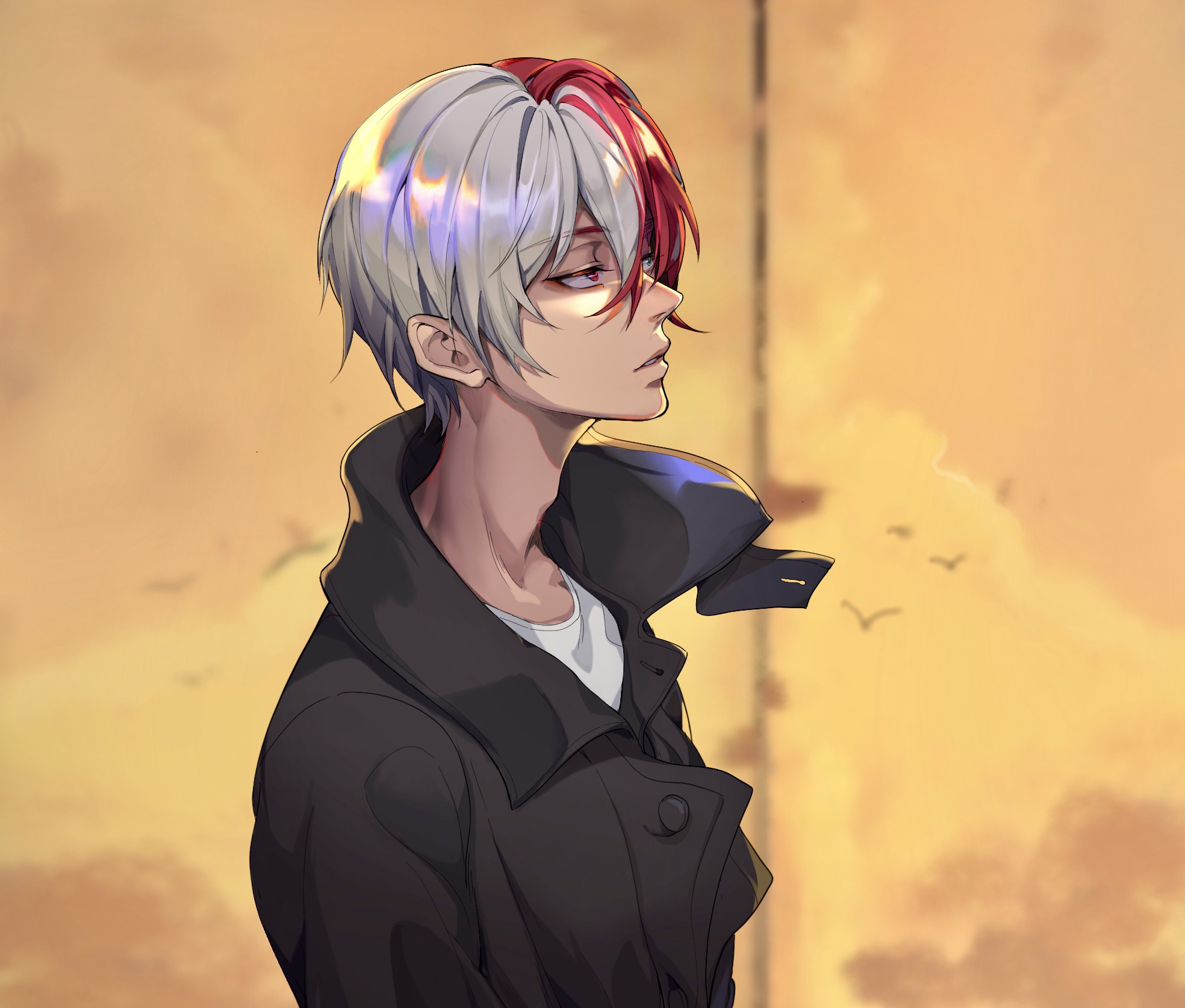 anh shinobu