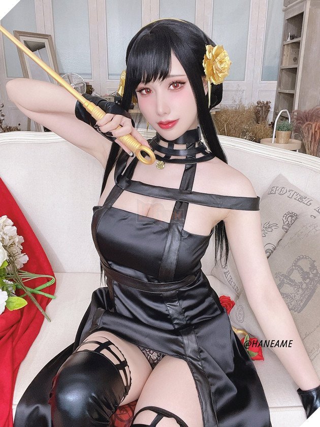 ảnh yor 53