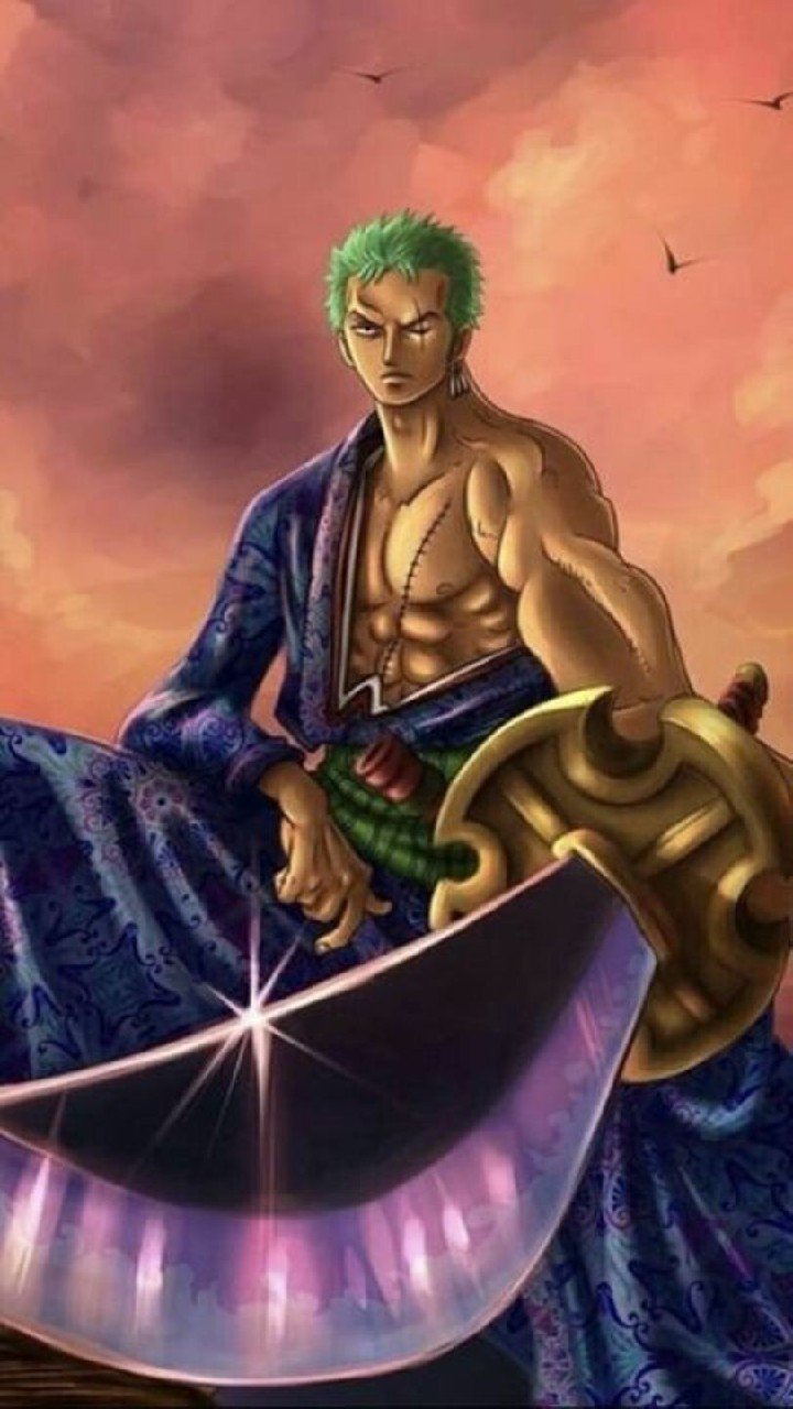 ảnh zoro 22