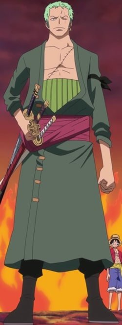 ảnh zoro 24
