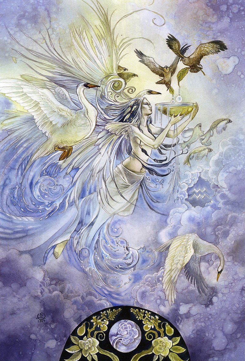 cung bảo bình anime 56