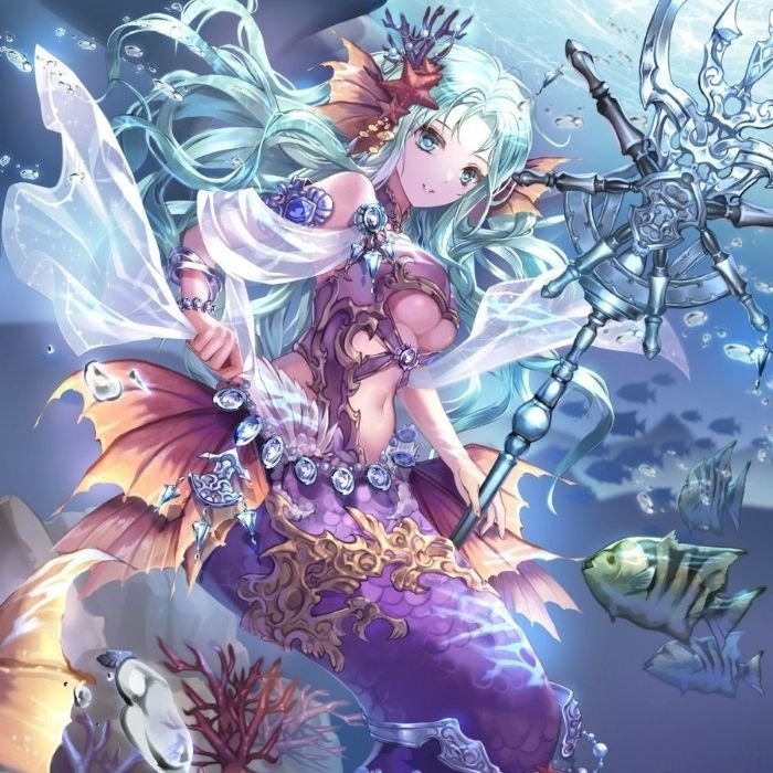 cung song ngữ anime 13 cung song ngữ anime 13