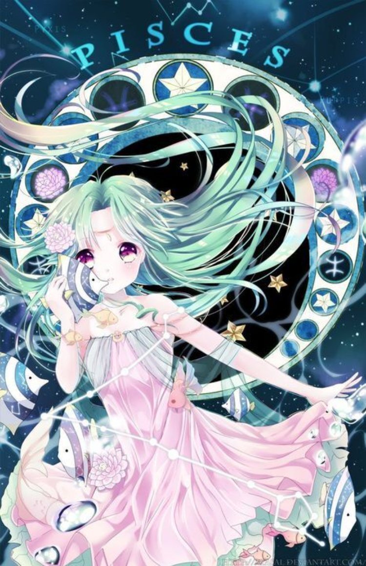cung song ngữ anime 4 cung song ngữ anime 4