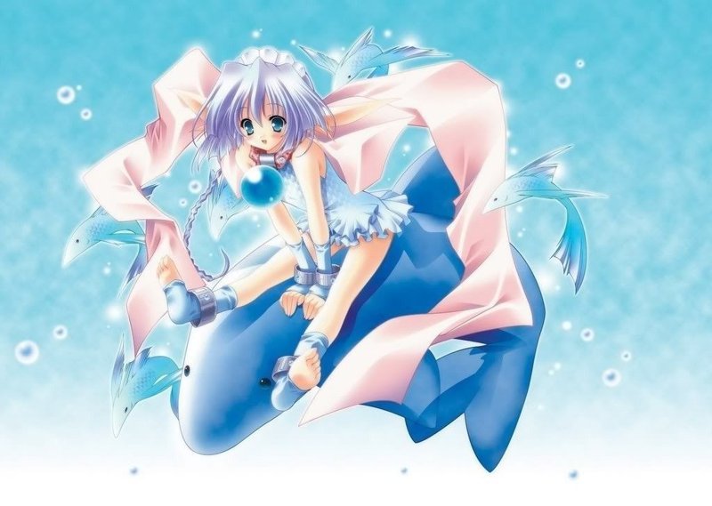 cung song ngữ anime 46