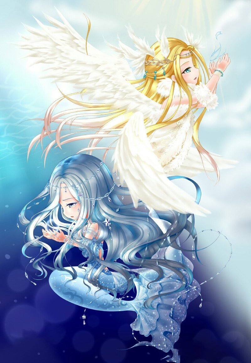 cung song ngữ anime 8 cung song ngữ anime 8