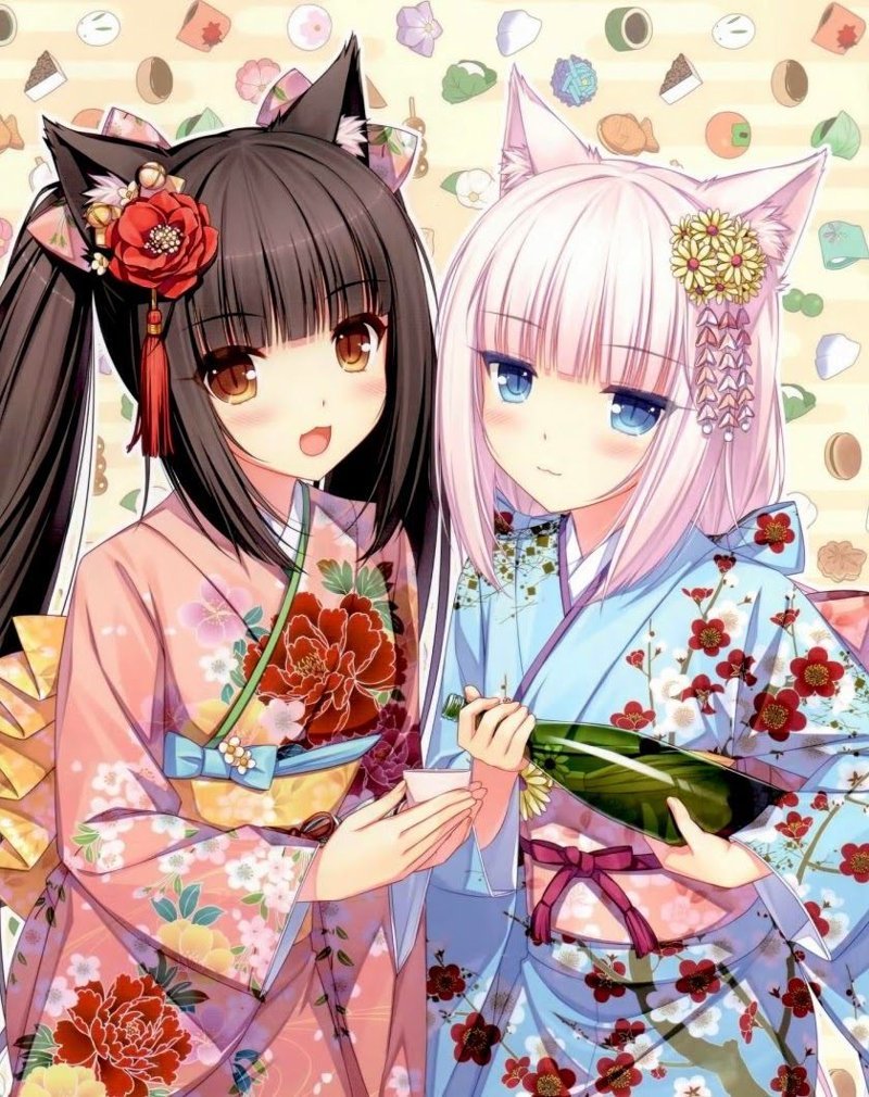 cung song tử anime 30