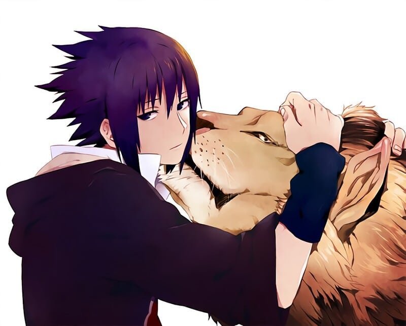 cung sư tử anime 75