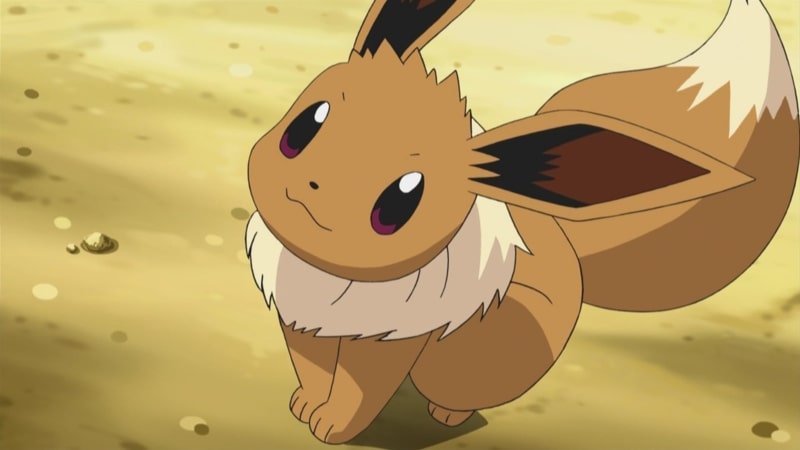 eevee 12 eevee 12
