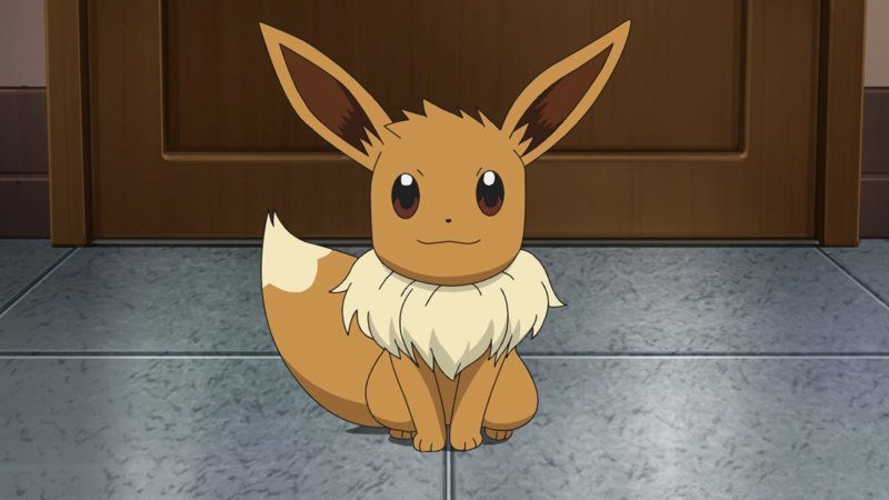 eevee 14 eevee 14