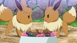 eevee 17