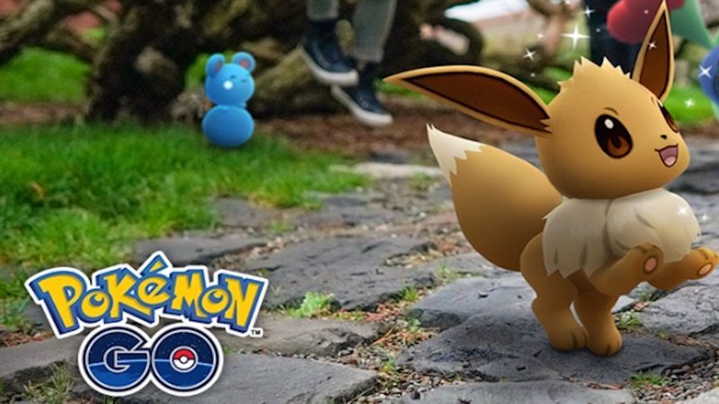 eevee 24