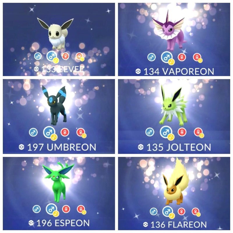 eevee 26