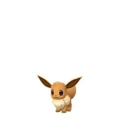eevee 47