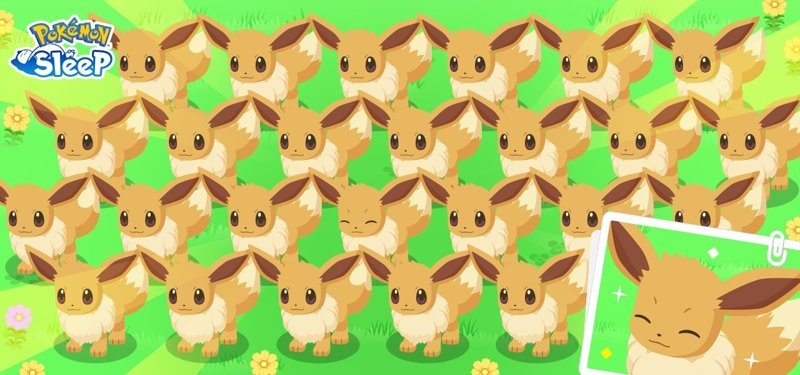 eevee 48