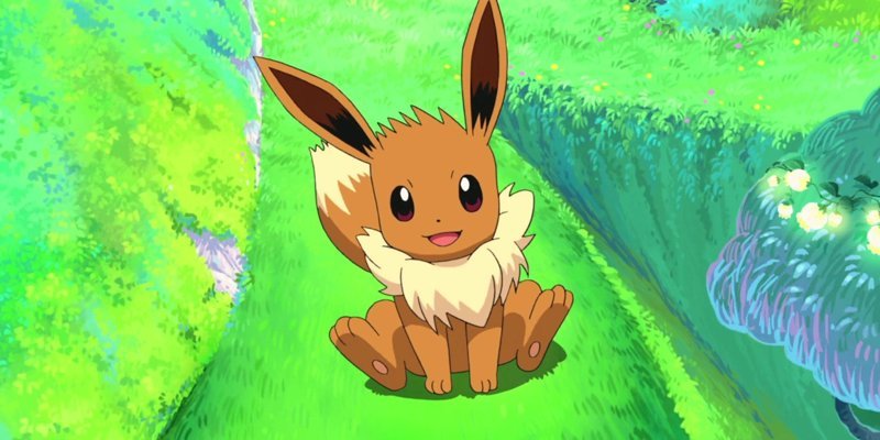 eevee 51